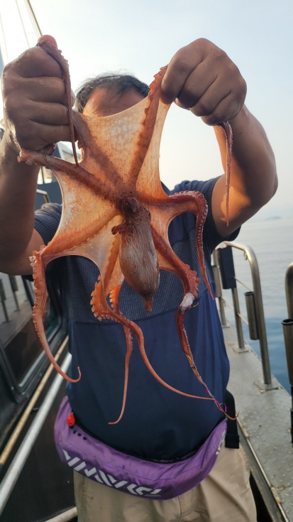 9372ae4d7b76cc4e1821bc4cbc7e804d_1767507