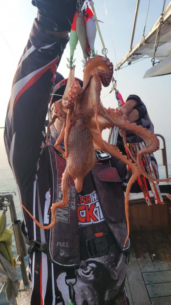 9372ae4d7b76cc4e1821bc4cbc7e804d_1767507