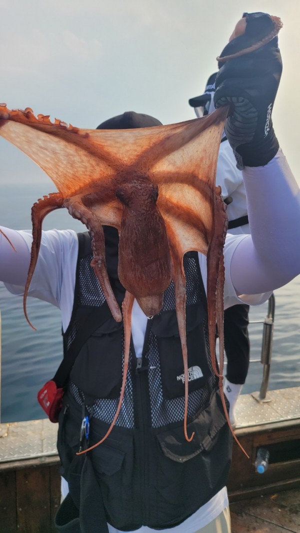 9372ae4d7b76cc4e1821bc4cbc7e804d_1767507