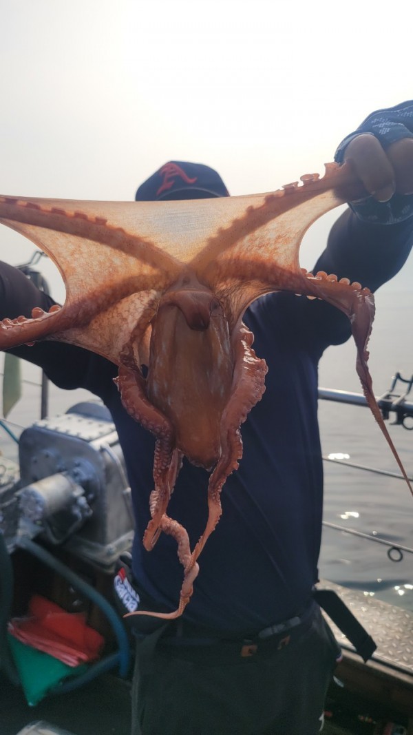 9372ae4d7b76cc4e1821bc4cbc7e804d_1767507