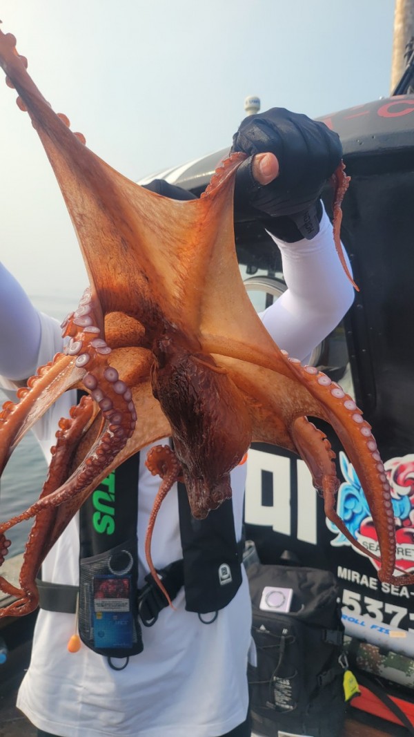 9372ae4d7b76cc4e1821bc4cbc7e804d_1767507