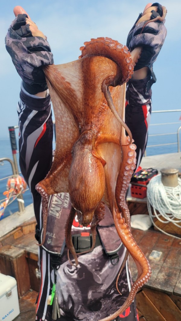 9372ae4d7b76cc4e1821bc4cbc7e804d_1767507