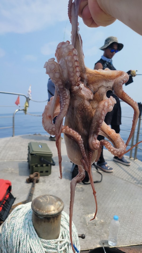 9372ae4d7b76cc4e1821bc4cbc7e804d_1767507