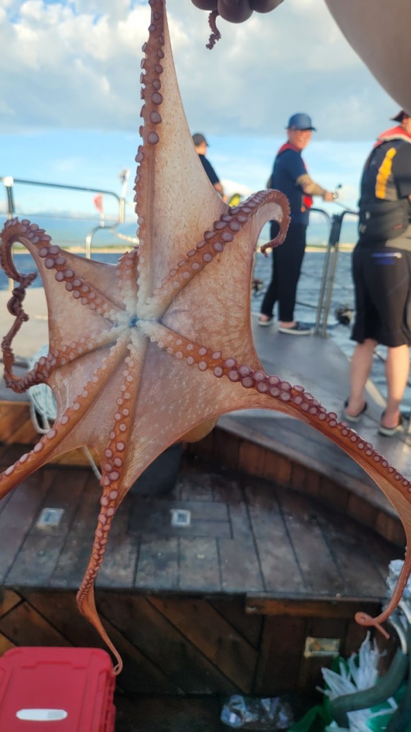 93bfdc77f0d29d5bfdf4478806408386_1767506