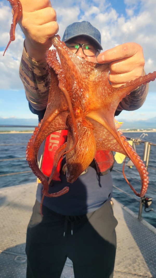 93bfdc77f0d29d5bfdf4478806408386_1767506