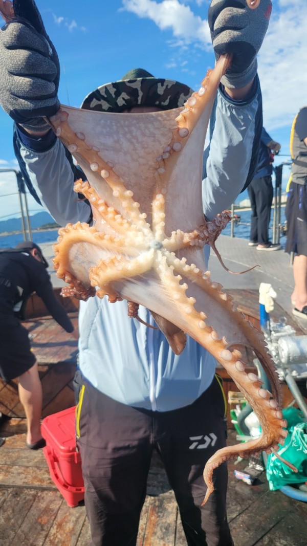 93bfdc77f0d29d5bfdf4478806408386_1767506