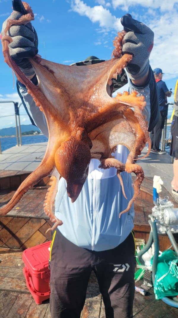 93bfdc77f0d29d5bfdf4478806408386_1767506