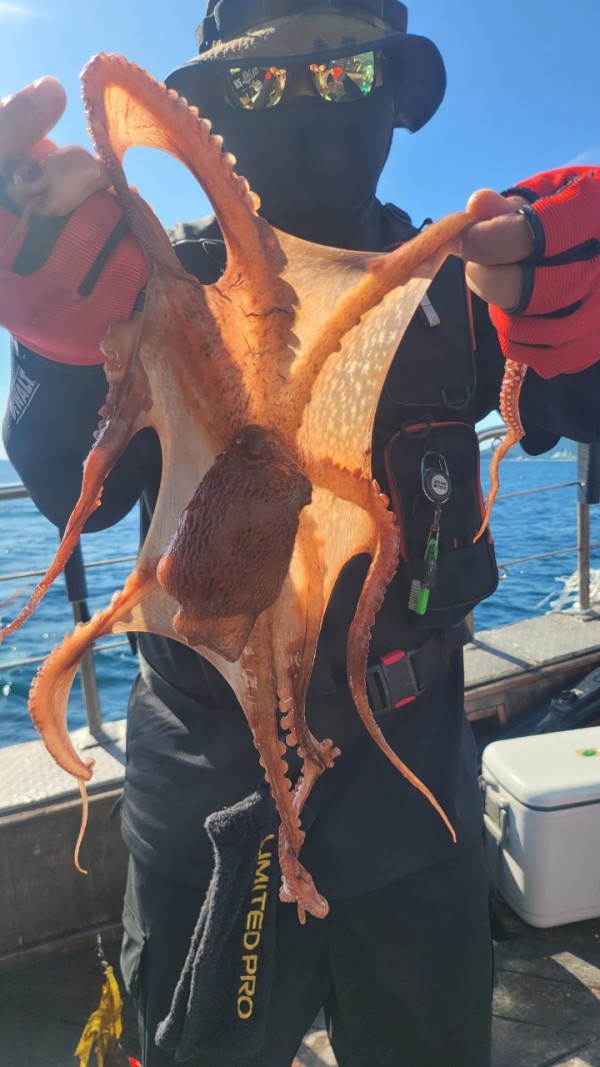 93bfdc77f0d29d5bfdf4478806408386_1767506