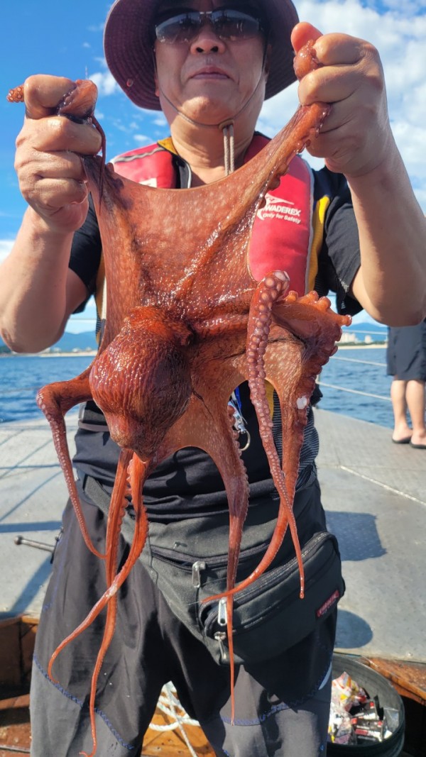 93bfdc77f0d29d5bfdf4478806408386_1767506