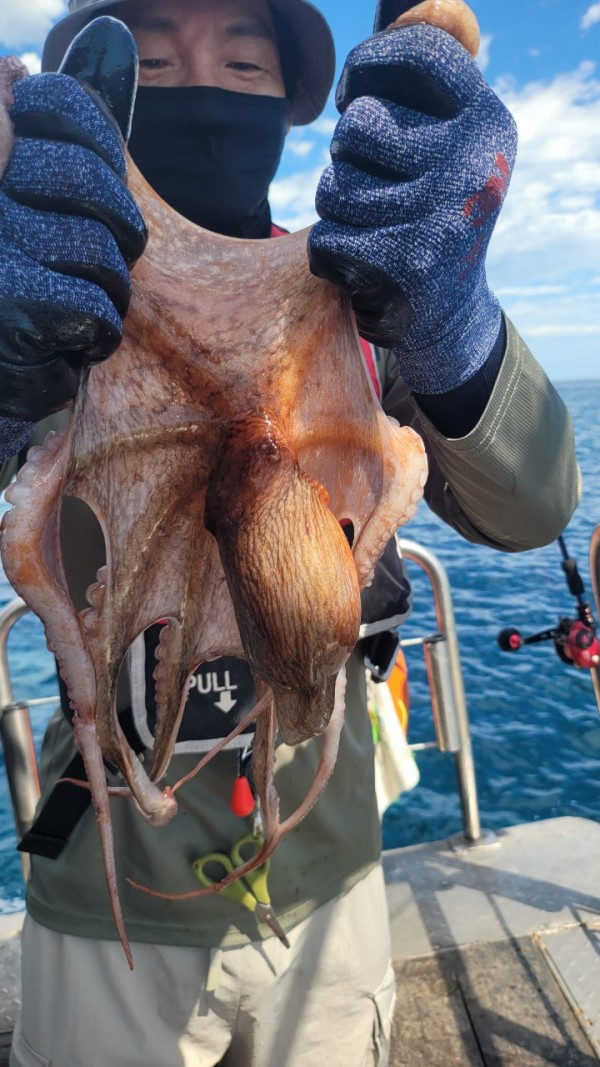 93bfdc77f0d29d5bfdf4478806408386_1767506