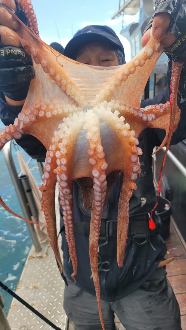 93c82a945d7c00519ace36f63741498d_1767509