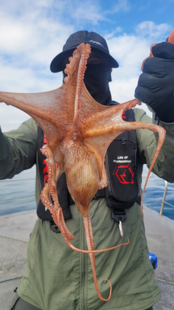 93c82a945d7c00519ace36f63741498d_1767509