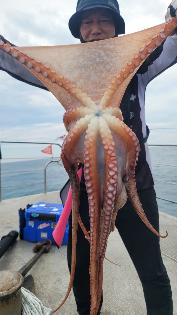 93c82a945d7c00519ace36f63741498d_1767509