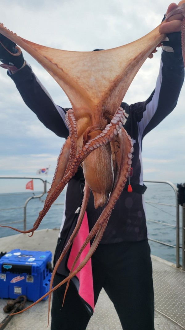 93c82a945d7c00519ace36f63741498d_1767509