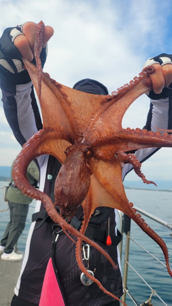 93c82a945d7c00519ace36f63741498d_1767509