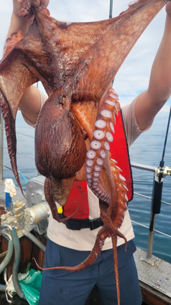 93c82a945d7c00519ace36f63741498d_1767509