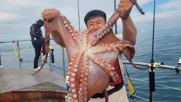 93c82a945d7c00519ace36f63741498d_1767509