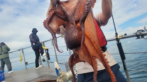 93c82a945d7c00519ace36f63741498d_1767509