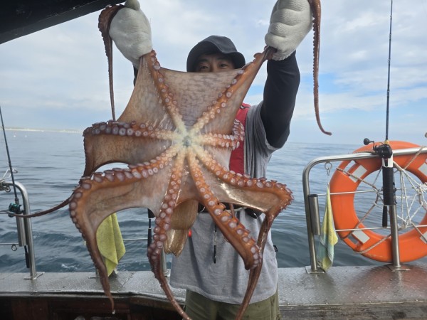 93c82a945d7c00519ace36f63741498d_1767509