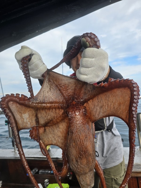 93c82a945d7c00519ace36f63741498d_1767509