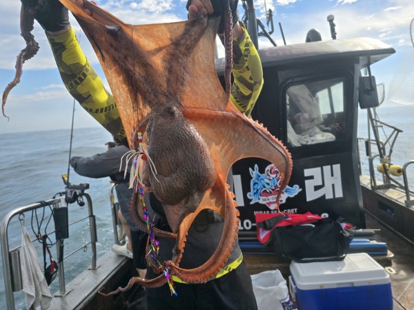 93c82a945d7c00519ace36f63741498d_1767509