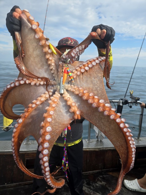 93c82a945d7c00519ace36f63741498d_1767509