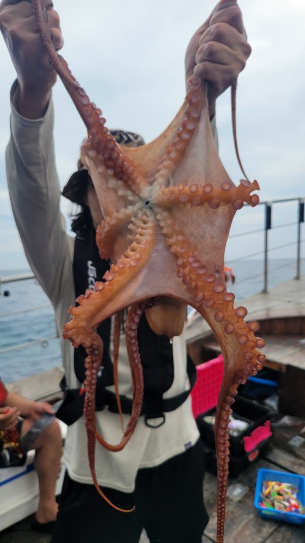 93c82a945d7c00519ace36f63741498d_1767509