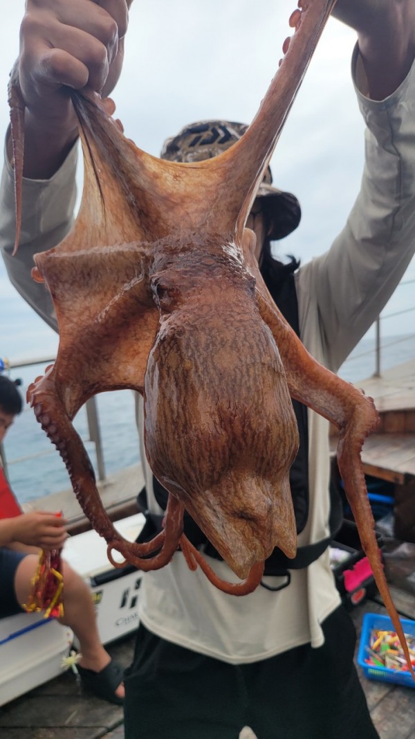 93c82a945d7c00519ace36f63741498d_1767509