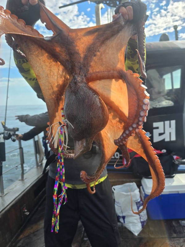 93c82a945d7c00519ace36f63741498d_1767509