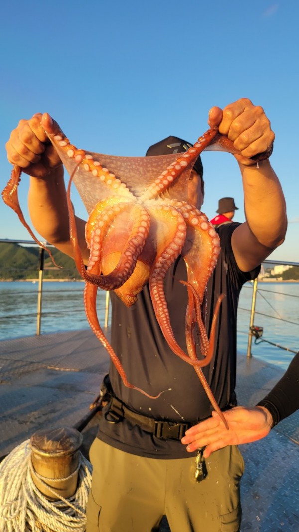 9768eefb37cab1f547f5870c53adb4fd_1767520