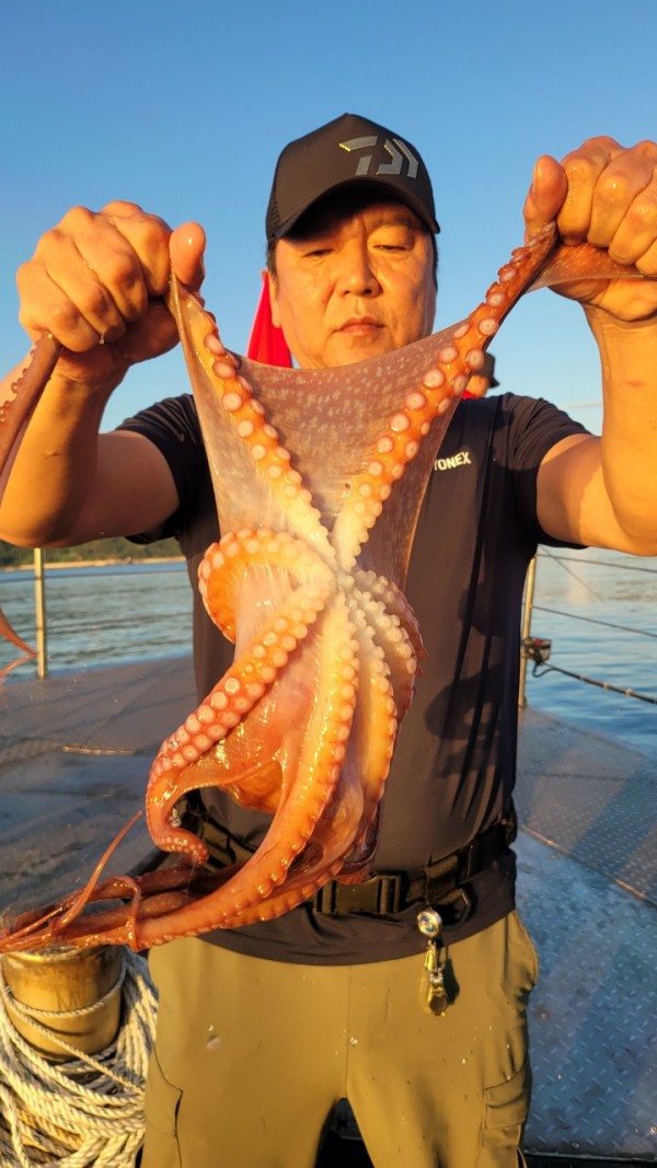 9768eefb37cab1f547f5870c53adb4fd_1767520