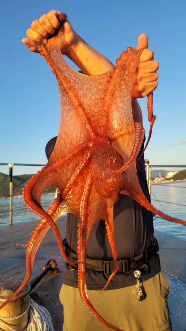 9768eefb37cab1f547f5870c53adb4fd_1767520