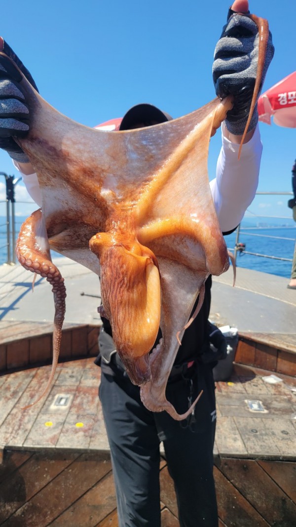 9768eefb37cab1f547f5870c53adb4fd_1767520