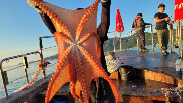 9768eefb37cab1f547f5870c53adb4fd_1767520