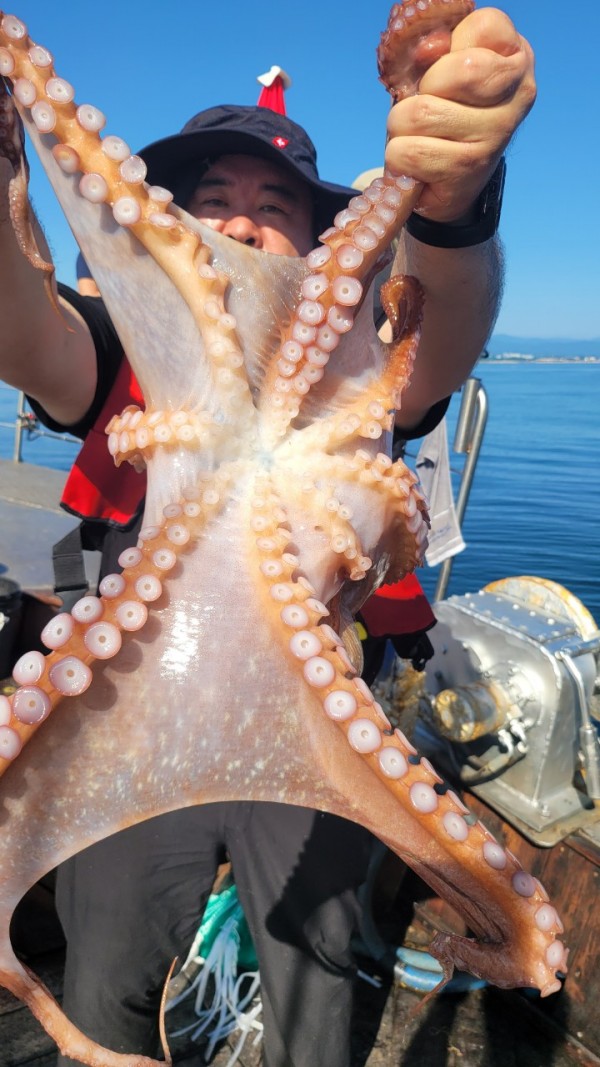 9768eefb37cab1f547f5870c53adb4fd_1767520