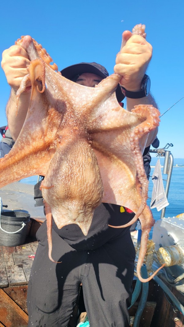 9768eefb37cab1f547f5870c53adb4fd_1767520