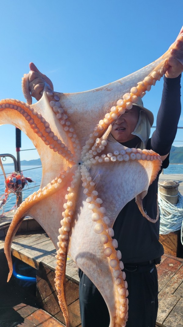 9768eefb37cab1f547f5870c53adb4fd_1767520