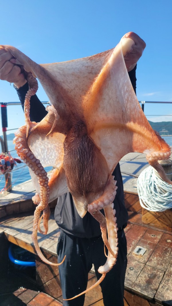 9768eefb37cab1f547f5870c53adb4fd_1767520