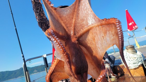 9768eefb37cab1f547f5870c53adb4fd_1767520