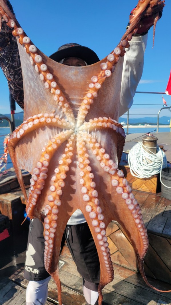 9768eefb37cab1f547f5870c53adb4fd_1767520