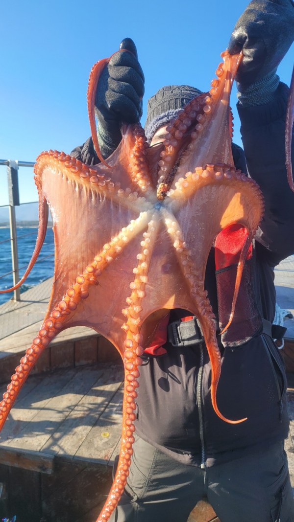 9962cf03ab675262f98d67dcd7f4a9ab_1769583