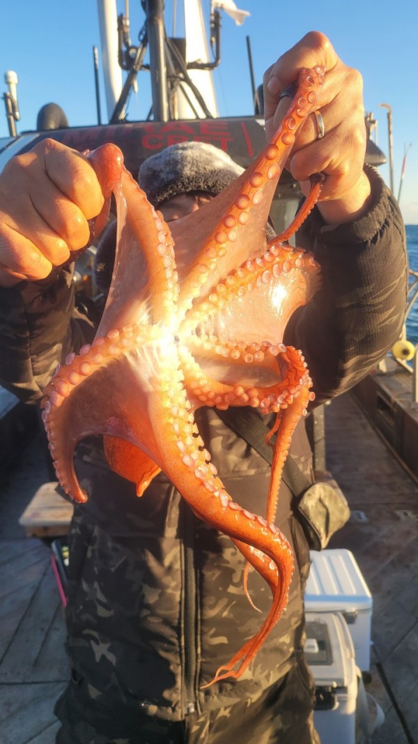 9962cf03ab675262f98d67dcd7f4a9ab_1769583