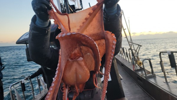 9962cf03ab675262f98d67dcd7f4a9ab_1769583