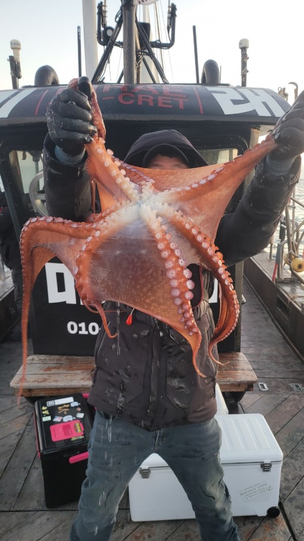 9962cf03ab675262f98d67dcd7f4a9ab_1769583