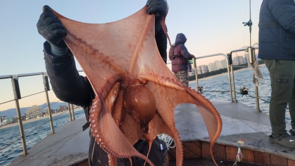 9962cf03ab675262f98d67dcd7f4a9ab_1769583