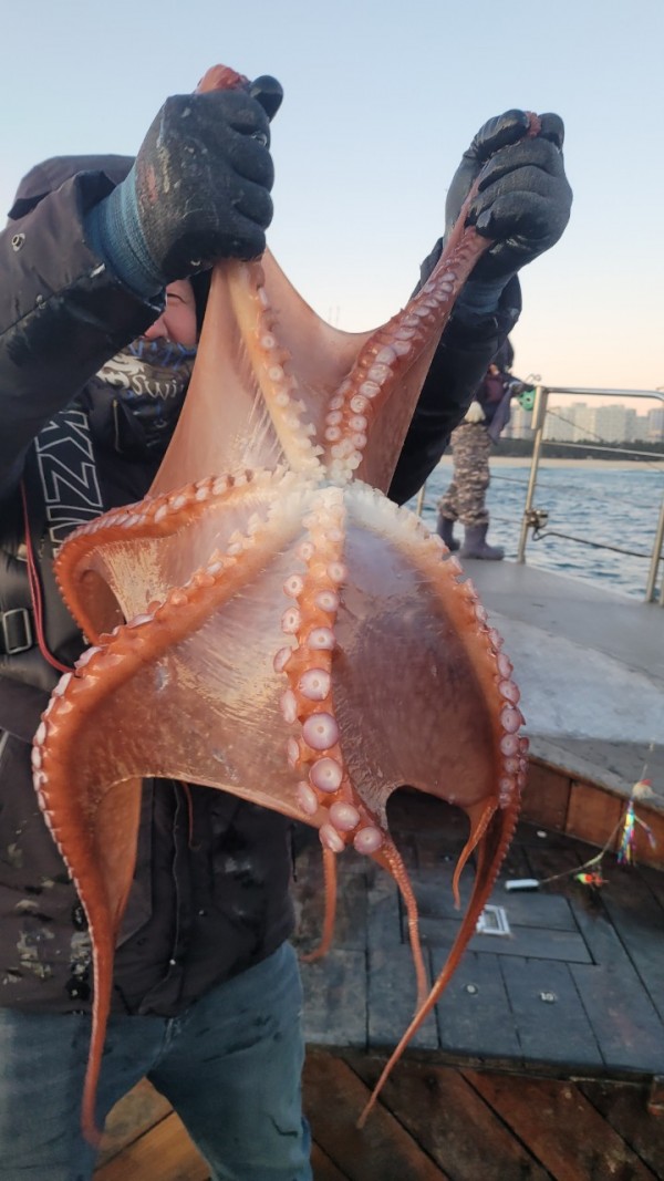 9962cf03ab675262f98d67dcd7f4a9ab_1769583