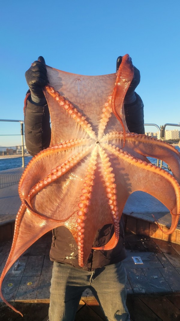 9962cf03ab675262f98d67dcd7f4a9ab_1769583