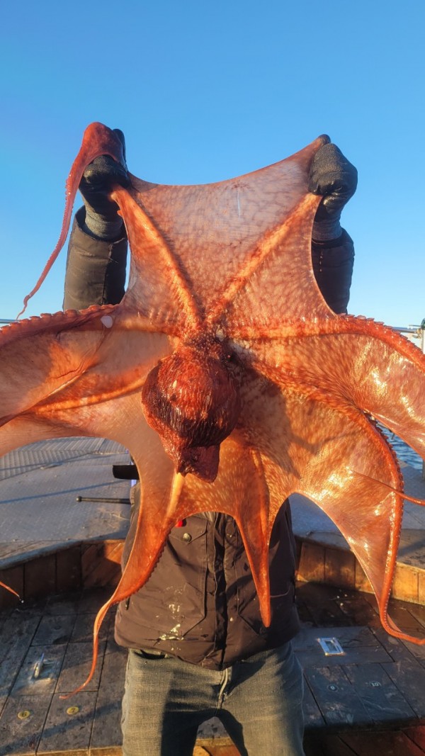 9962cf03ab675262f98d67dcd7f4a9ab_1769583