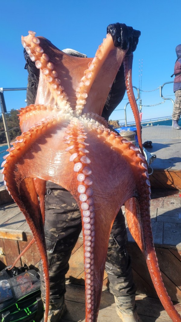 9962cf03ab675262f98d67dcd7f4a9ab_1769583