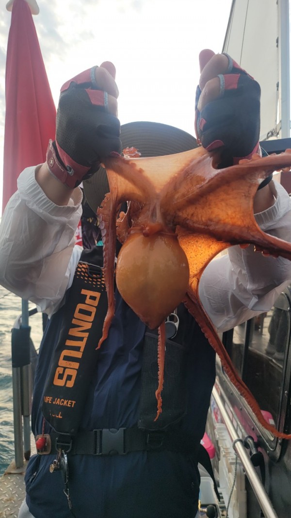 9e34dedc3c385355fe1f4fcd9d09f334_1767521